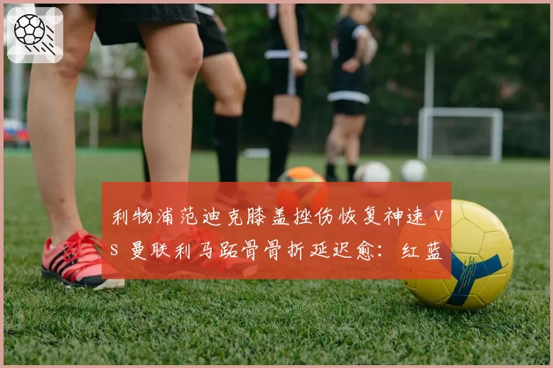 利物浦范迪克膝盖挫伤恢复神速 vs 曼联利马跖骨骨折延迟愈:红蓝防线谁更心急?