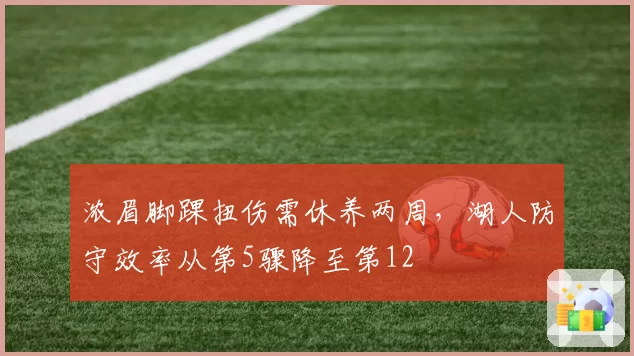 浓眉脚踝扭伤需休养两周，湖人防守效率从第5骤降至第12