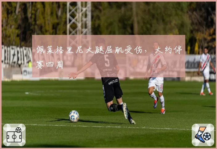 佩莱格里尼大腿屈肌受伤，大约停赛四周