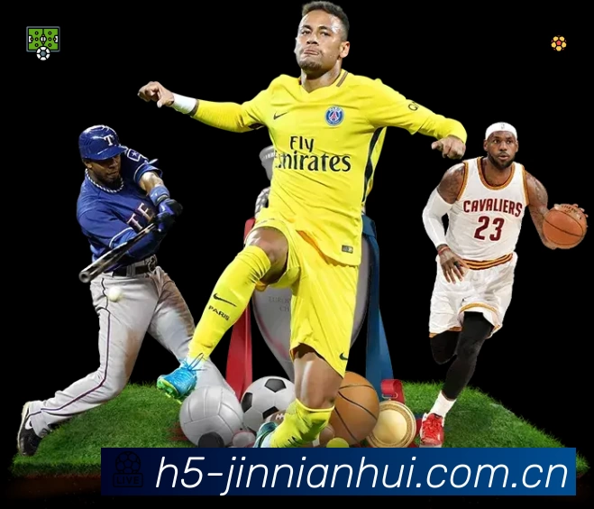 金年会App亮点：多维搜索、热门结果与直达入口